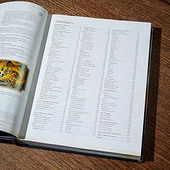 Dungeons & Dragons - Players Handbook 2024